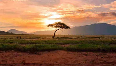 Africa Spirit Destinations Kenya Landscape