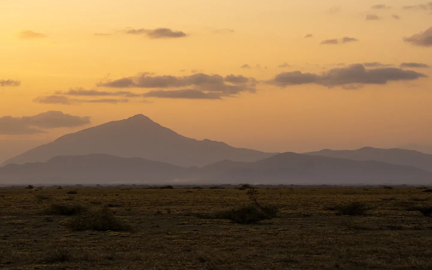 Africa Spirit Tour Operator Destinations Tanzania Safari Landscape Savannah Saadani