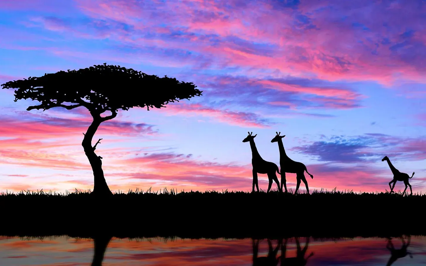 Africa Spirit Tour Operator DMC Newsletter Hotels Safari Transfers Tanzania Zanzibar Kenya