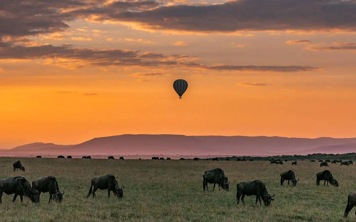 Africa Spirit Tanzania Safari Masai Mara Animals 