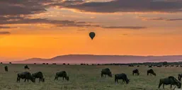 Africa_Spirit_Destinations_Tanzania_1-min_edited.jpg