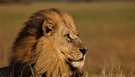 Africa_Spirit_Destinations_NT-min.jpg
