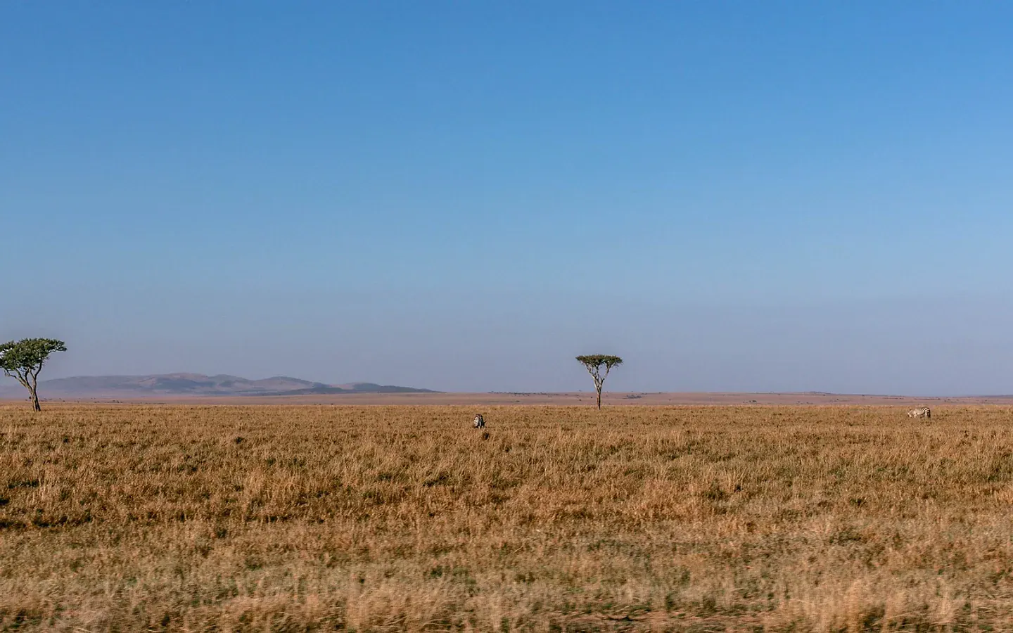 Africa Spirit Tour Operator Destinations Tanzania Safari Landscape Savannah Serengeti National Park