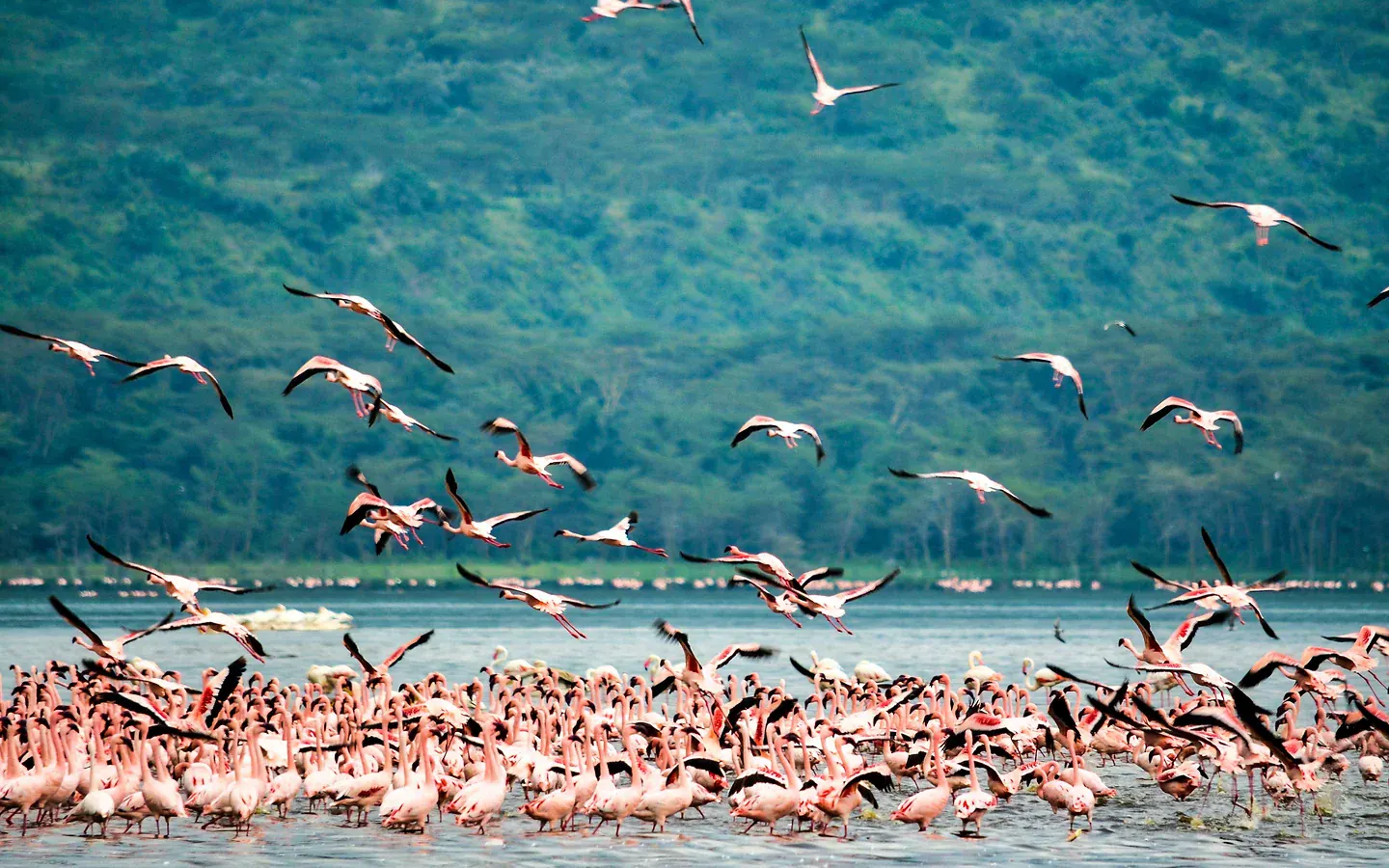 Africa Spirit Tour Operator Destinations Tanzania Safari Landscape Savannah Southern Circuit