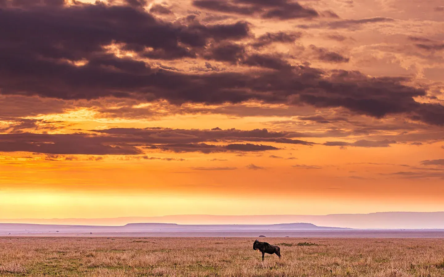 Africa Spirit Destinations Tanzania Safari Landscape Savannah 