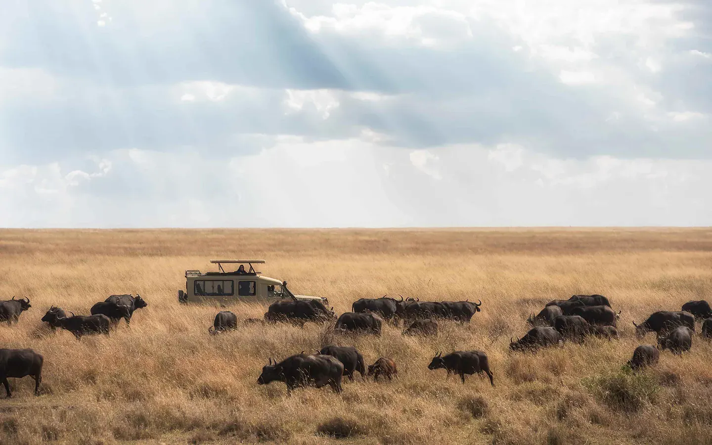 Africa Spirit Tour Operator Destinations Tanzania Safari Landscape Savannah Northern Circuit