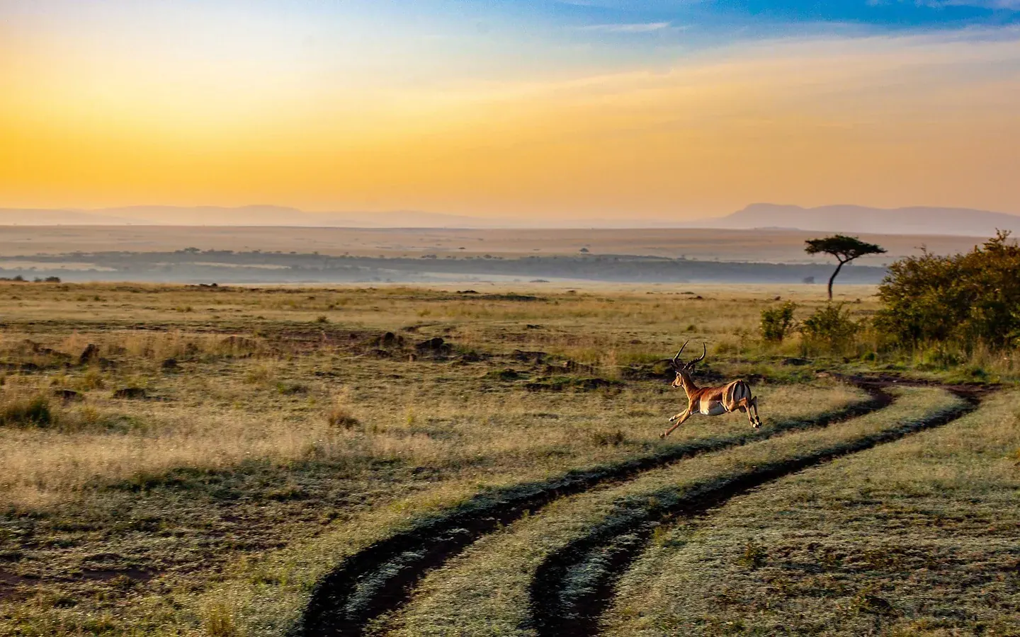 Africa Spirit Destinations Tanzania Safari Great Migration Landscape Savannah 