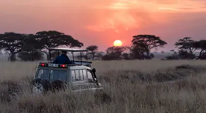 Africa_Spirit_Services_Safari-min.jpg