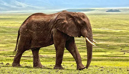 Africa_Spirit_Destinations_WT-min.jpg