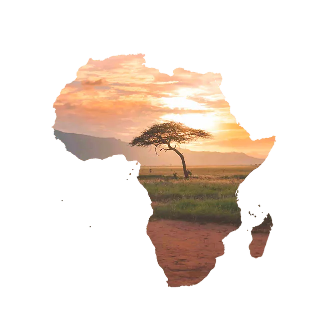Africa Spirit Tour Operator Africa Tanzania Zanzibar Kenya Maldives Destinations