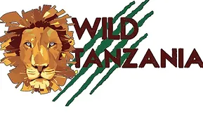 Invitation to Tanzania Embassy in Paris