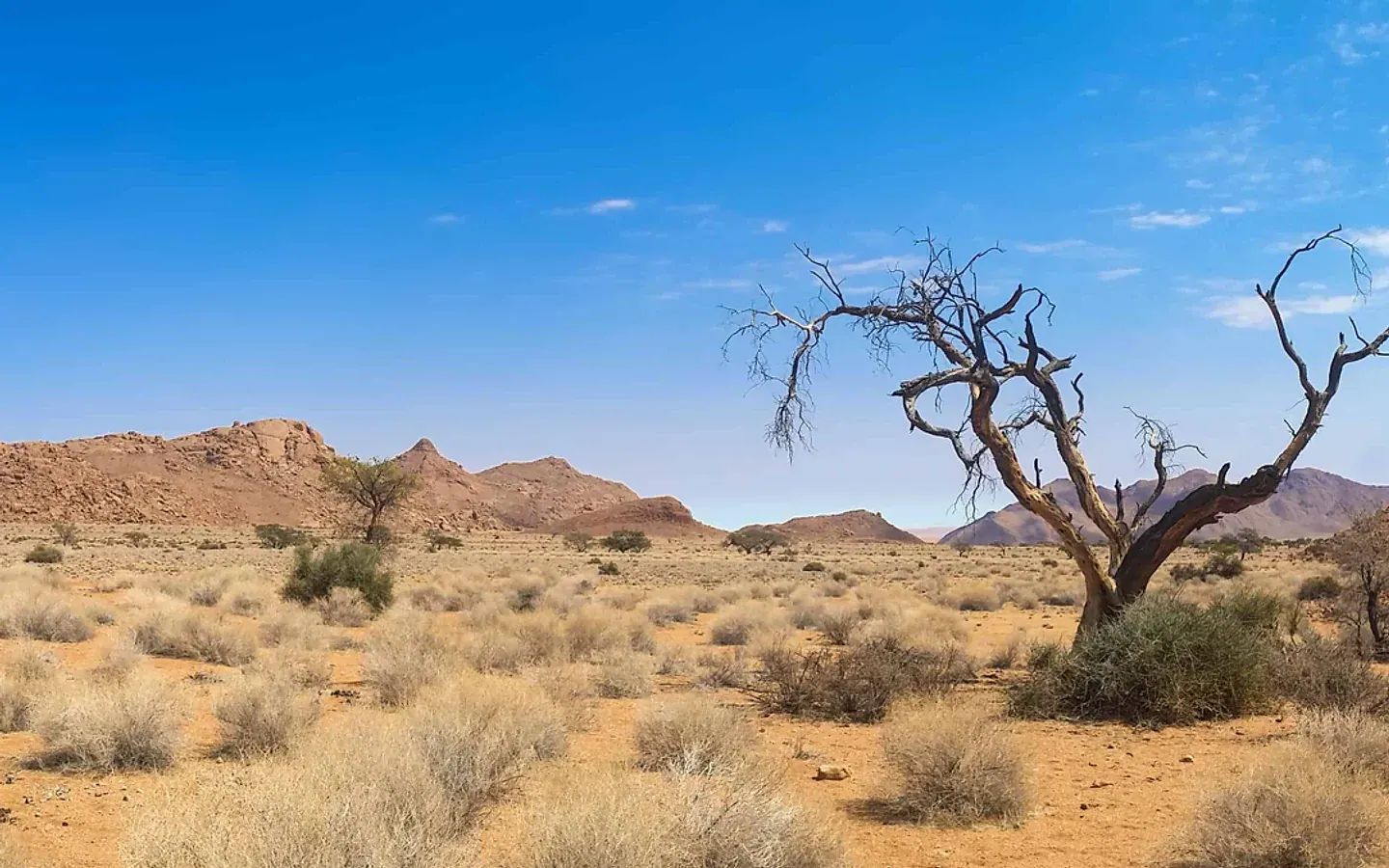 Africa_Spirit_NT_It1.jpg