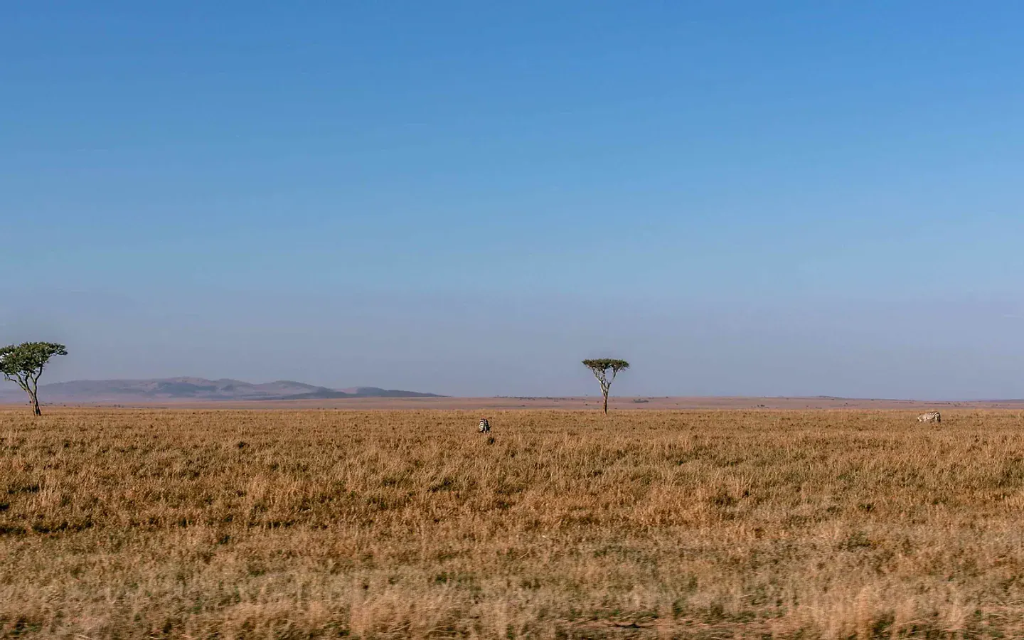 Africa_Spirit_Destinations_Tanzania_6-min.jpg