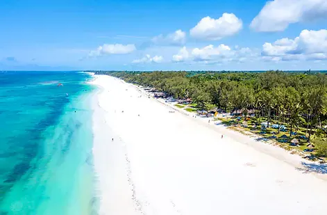 Diani-Beach-Diani-Sea-Lodge-1.jpg.webp